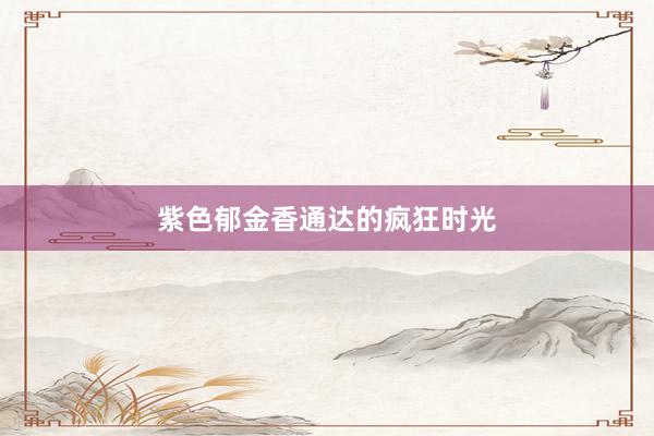 紫色郁金香通达的疯狂时光