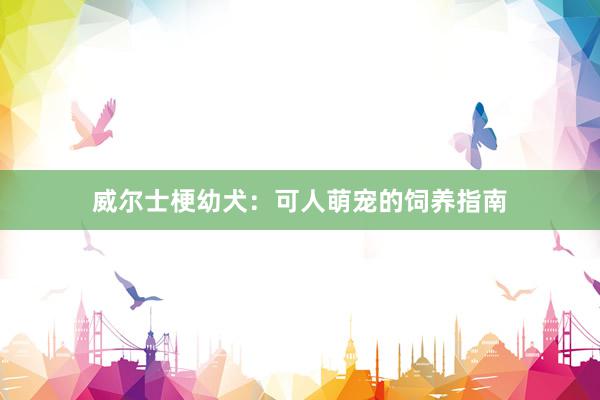 威尔士梗幼犬：可人萌宠的饲养指南
