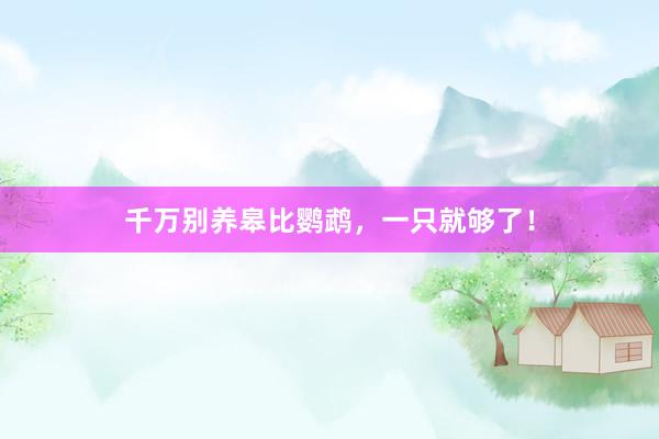 千万别养皋比鹦鹉，一只就够了！